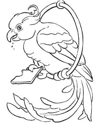 bird coloring page