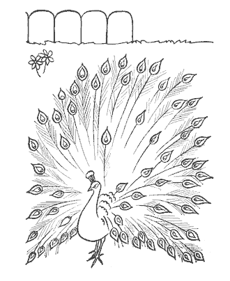 bird coloring page