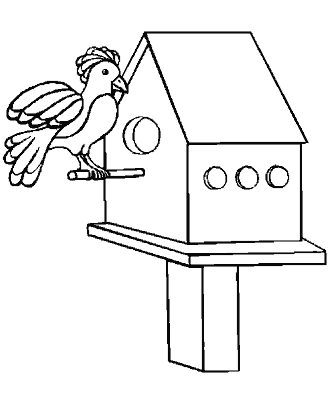 bird coloring pages