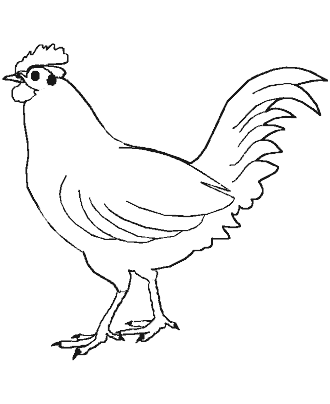 bird coloring pages
