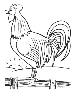 bird coloring page