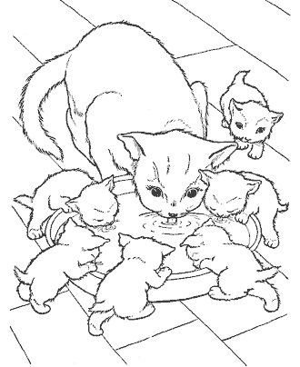 cat coloring page
