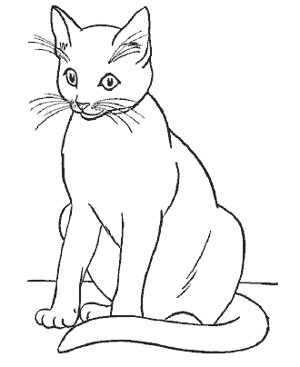 cat coloring page