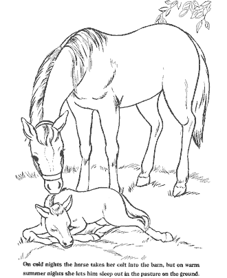 farm coloring pages