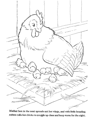farm coloring page