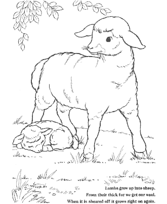 farm coloring page