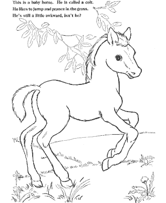farm coloring page