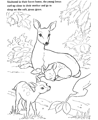 farm coloring page