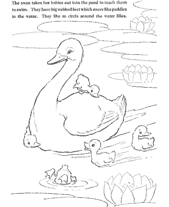 farm coloring page