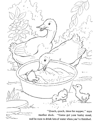 farm coloring page