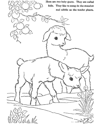 farm coloring page