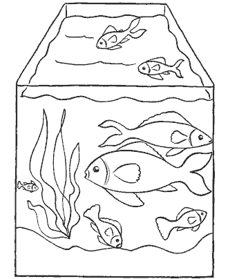 fish coloring pages