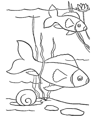 fish coloring page
