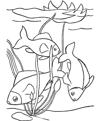 fish coloring page