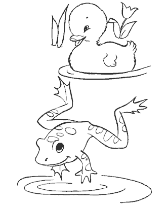 frog coloring pages