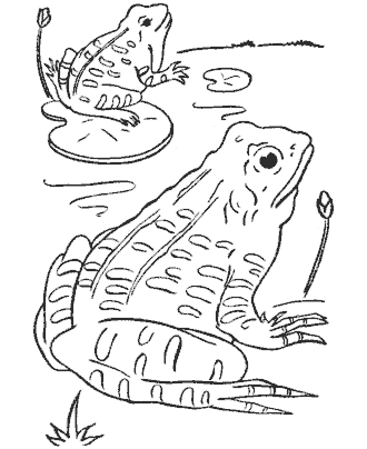 frog coloring pages