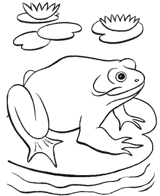 frog coloring pages