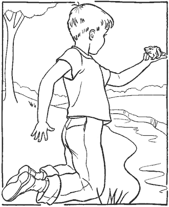 frog coloring page