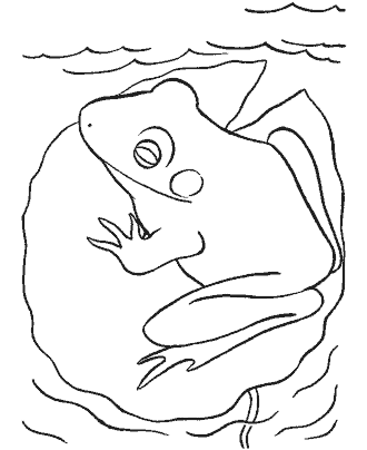 frog coloring page