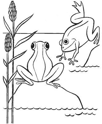 frog coloring page