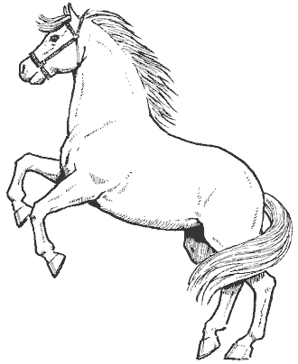 horse coloring pages