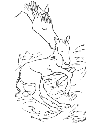 horse coloring page