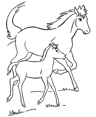 horse coloring page