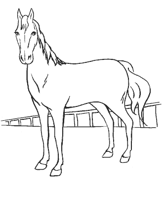 horse coloring pages