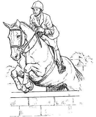 horse coloring page