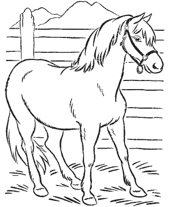 horse coloring pages