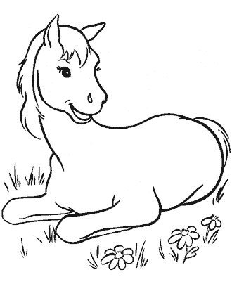 horse coloring page