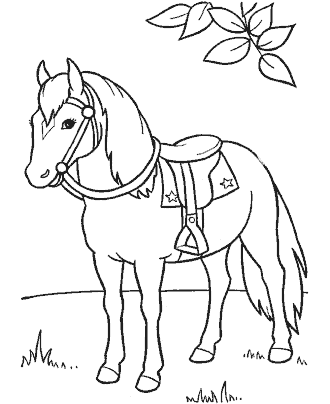 horse coloring page