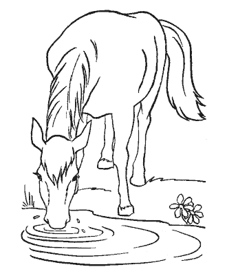 horse coloring page