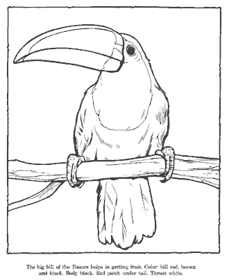 zoo coloring pages