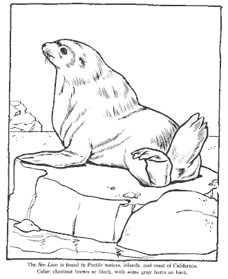 zoo coloring page