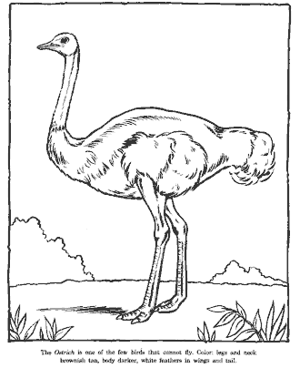 zoo coloring page