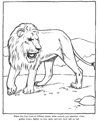 zoo coloring page