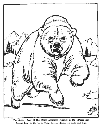 zoo coloring page