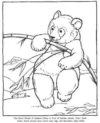 zoo coloring page