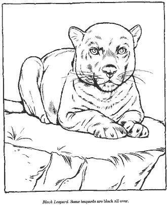 zoo coloring pages