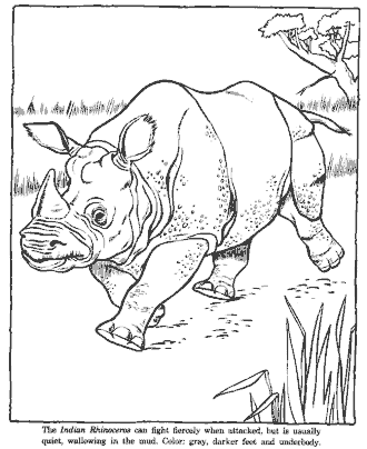 zoo coloring page