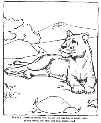 zoo coloring page