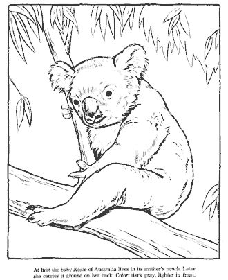 zoo coloring page