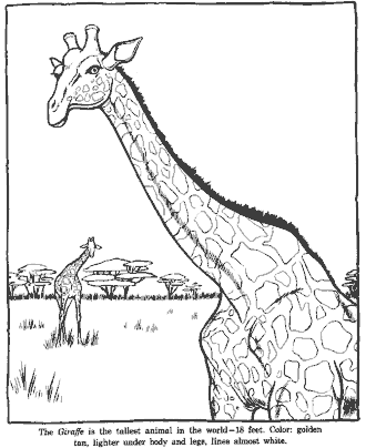 zoo coloring page