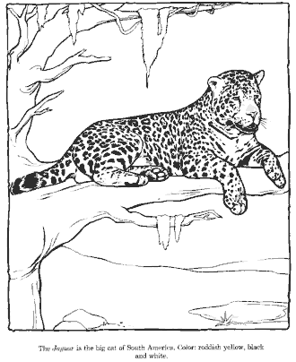 zoo coloring page