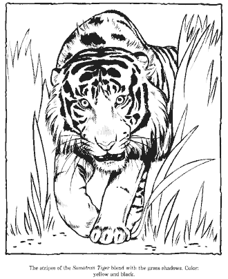 zoo coloring page