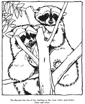 zoo coloring page