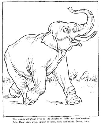 zoo coloring page