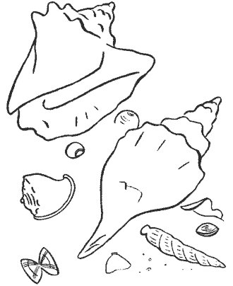 beach coloring page