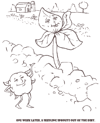 story of cotton coloring pages